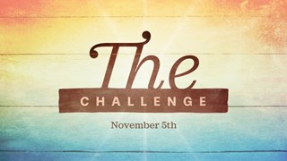 The Challenge (2017)